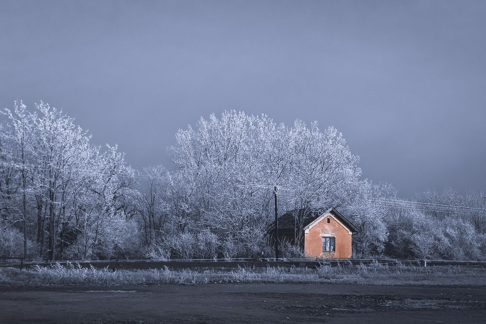 Photo #11954377