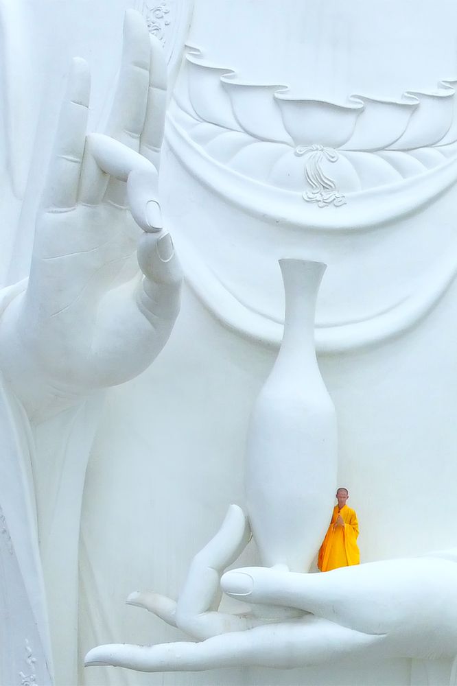 Photograph by Hi Ho Hi