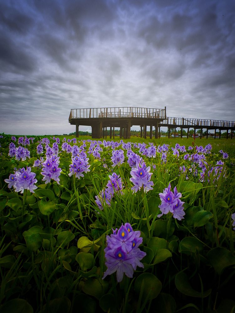 Фотография автора Ali Rouhi