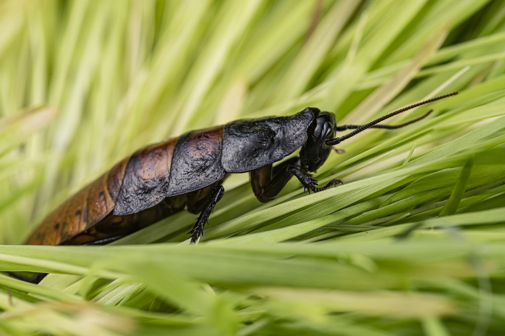 Photograph by Сергей Чупахин