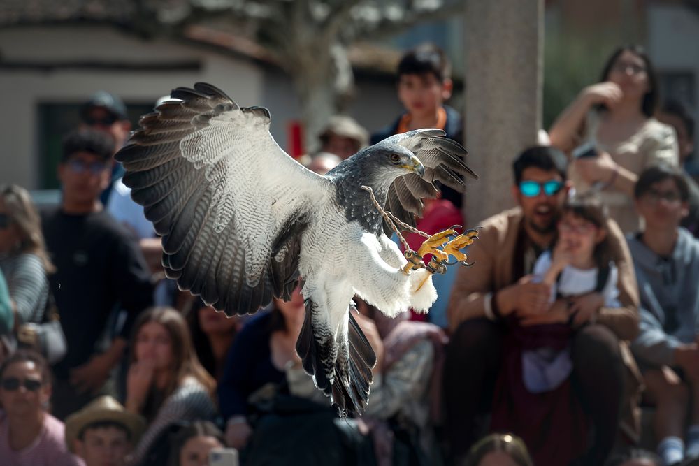 Photograph by Tamara Lebón Sánchez