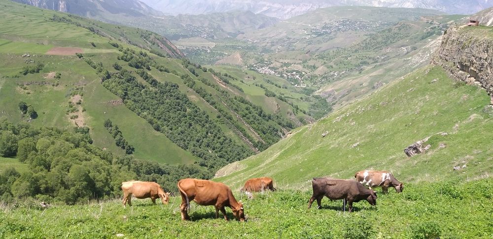 Photograph by Лейсан