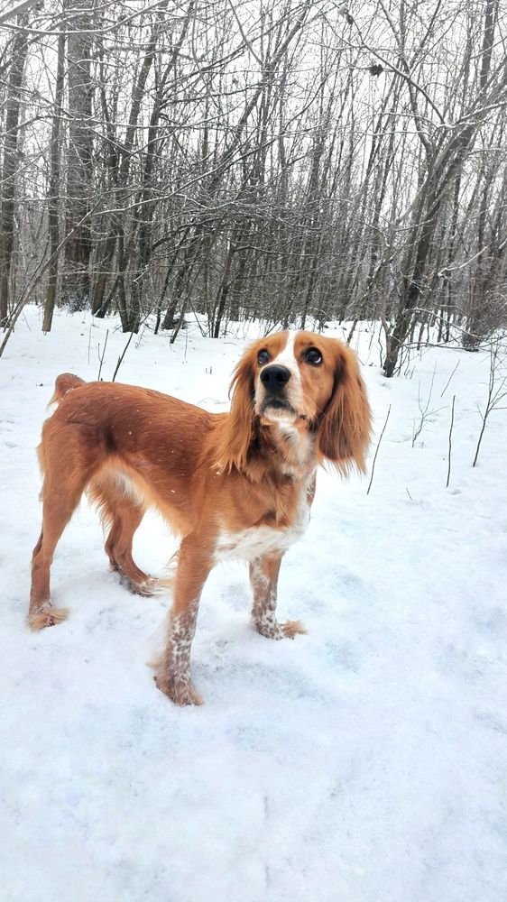 Photograph by Александр Лопатин