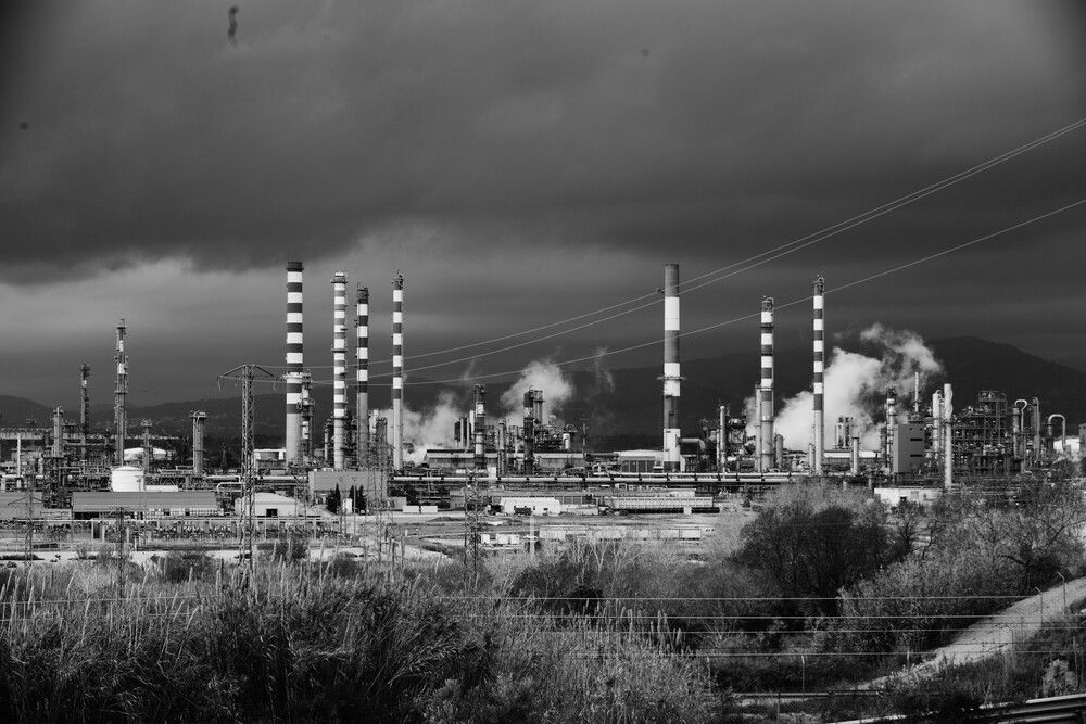 Photograph by Adrian Gray
