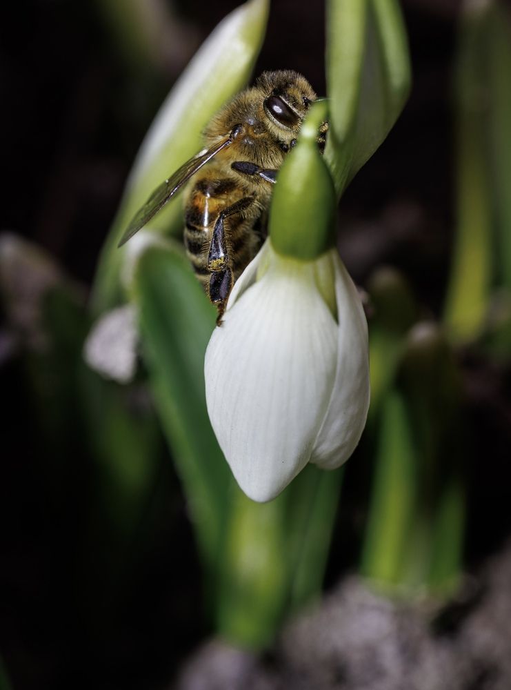 Photograph by Елена Подерегина