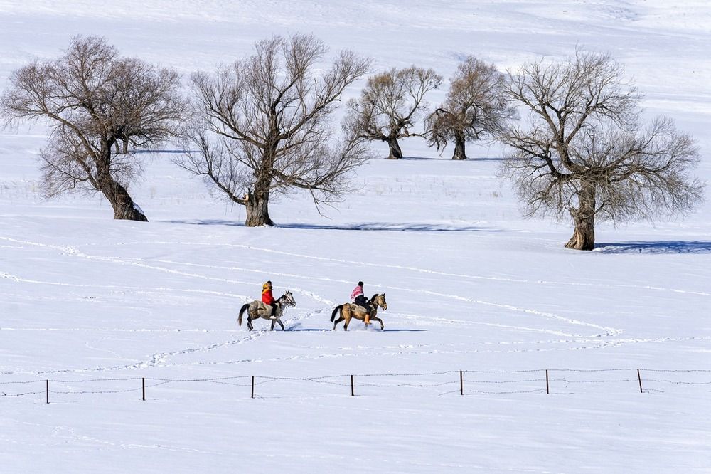 Фотография автора Fikriye Er