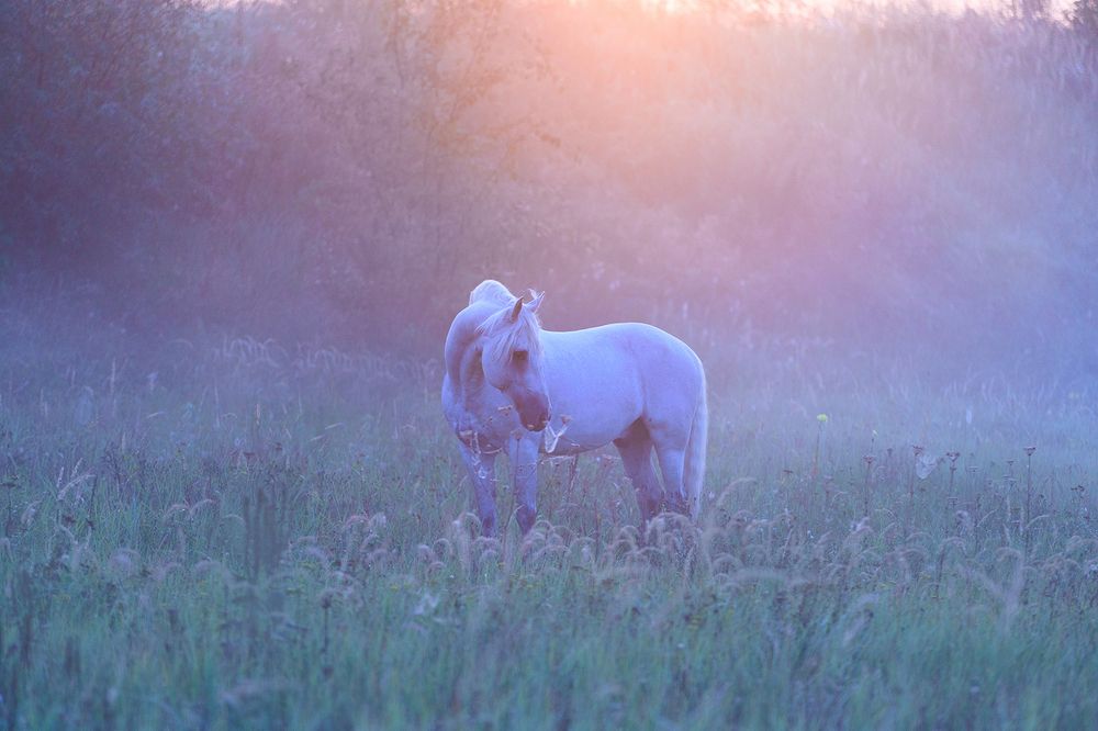 Photograph by Татьяна Немова