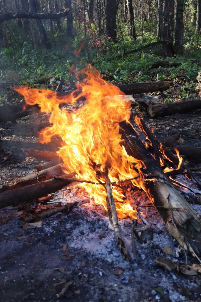 Фотография автора Веста Ягужинская