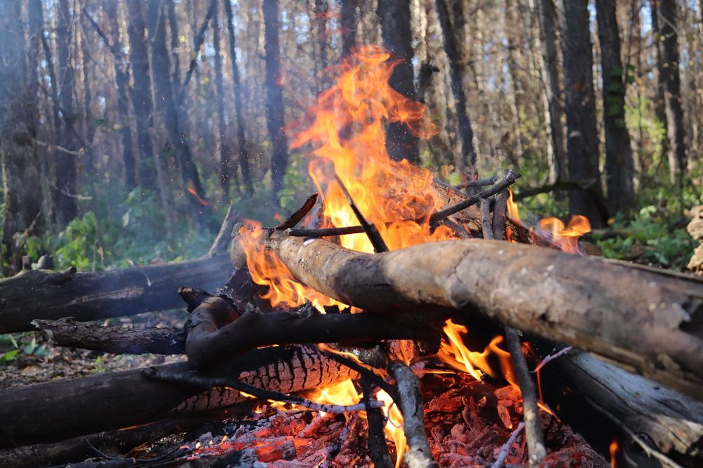 Фотография автора Веста Ягужинская