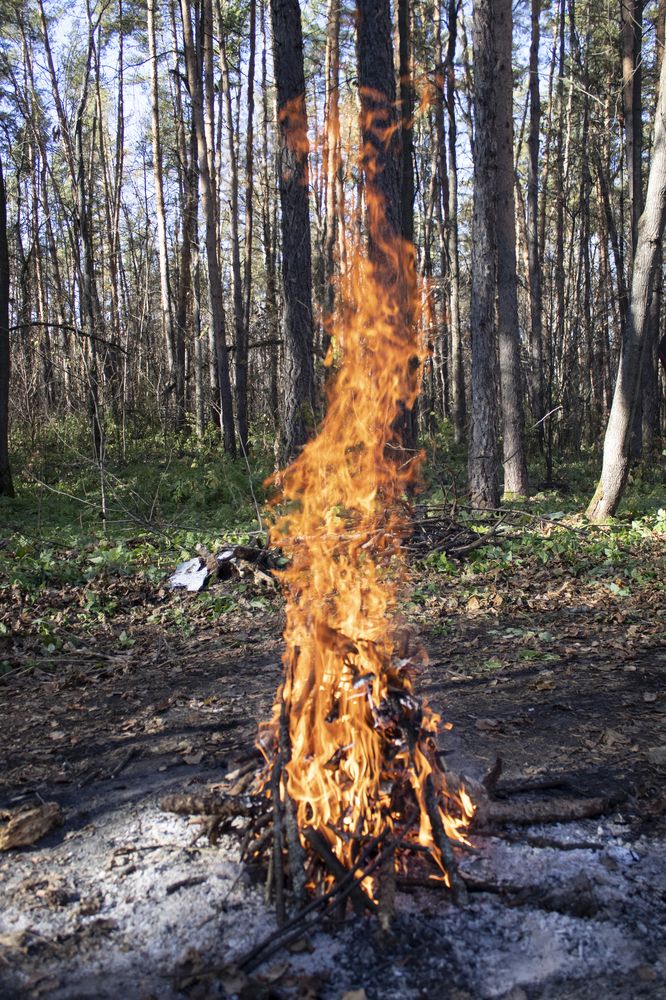 Фотография автора Веста Ягужинская