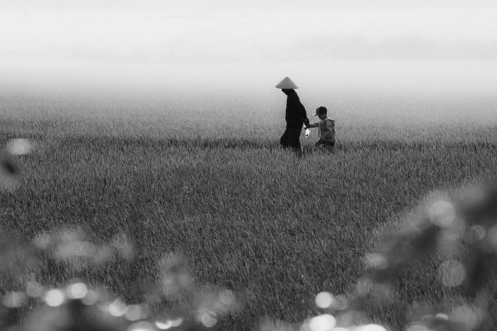 Фотография автора Pham Anh Vu