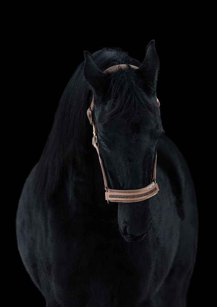 Photograph by Марина