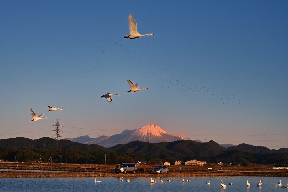 Photograph by Ohta Sigeki