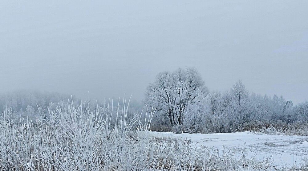 Photograph by Татьяна