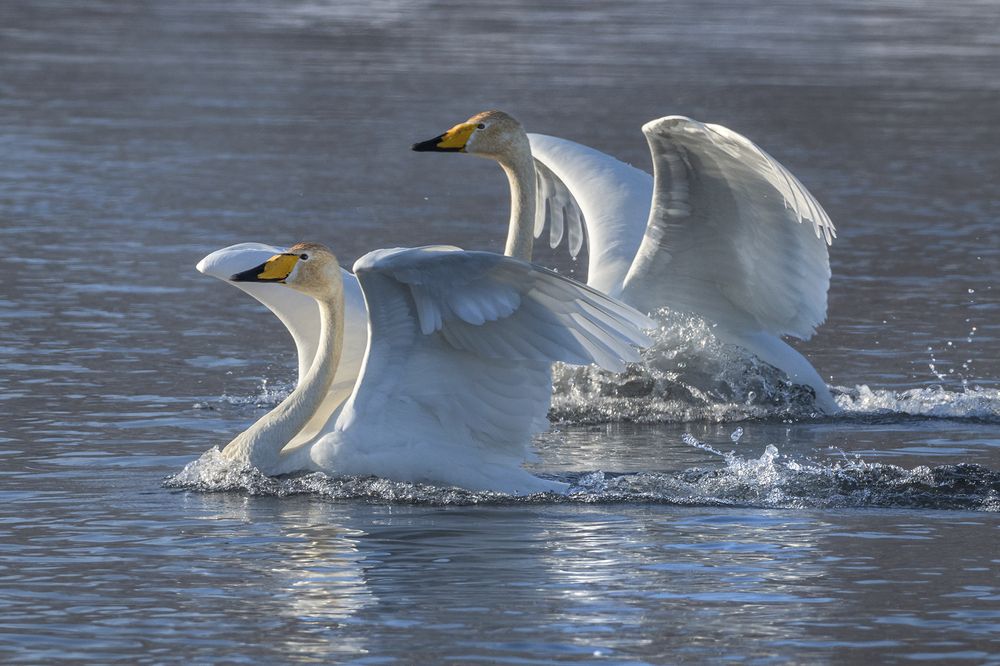 Photograph by Евгений Санин