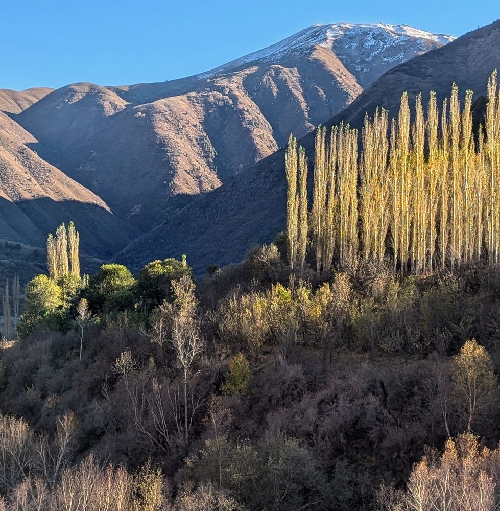 Photograph by Орынбек Асилбаев