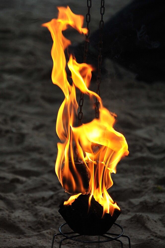 Фотография автора Ольга Пушленкова