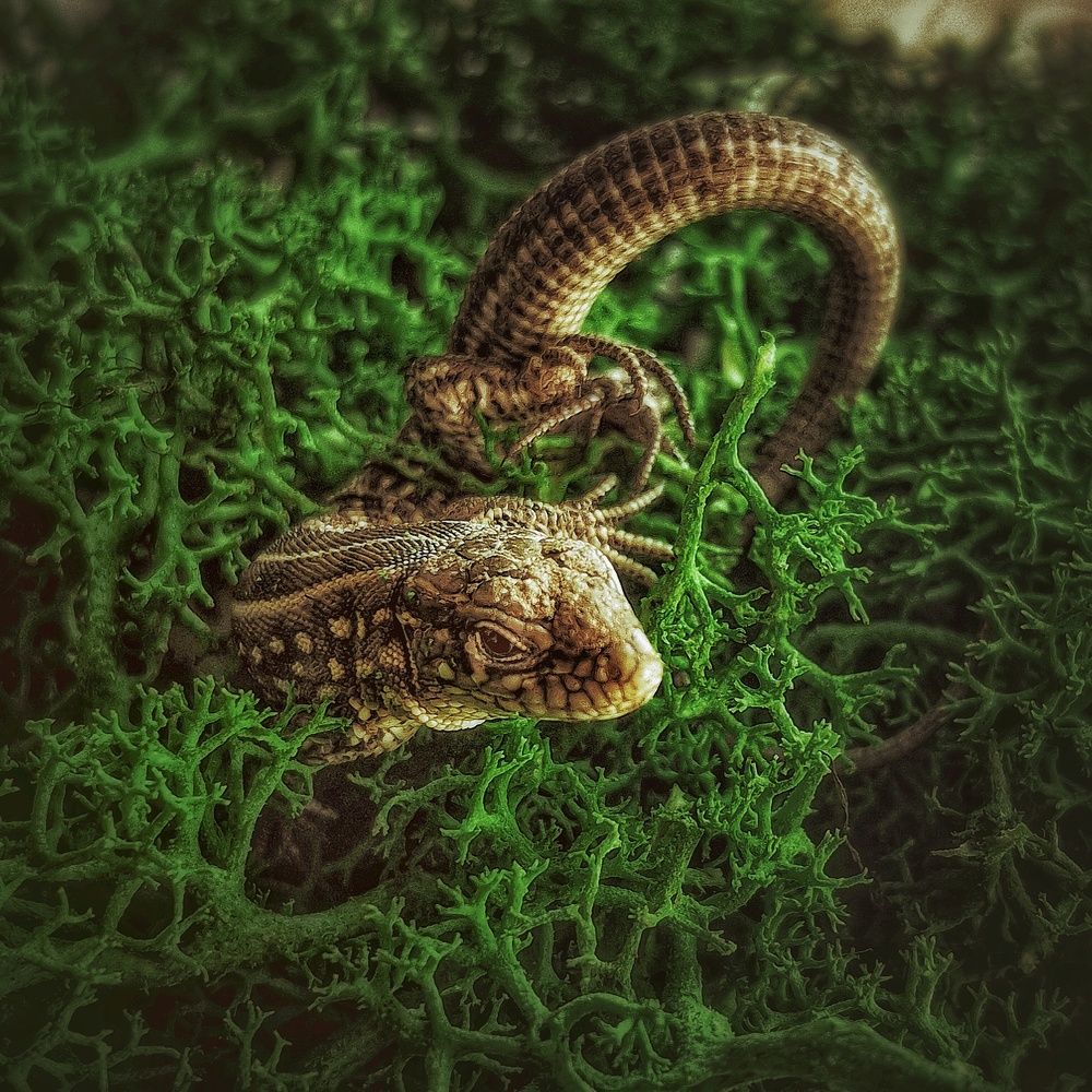 Photograph by Марина Мальцева