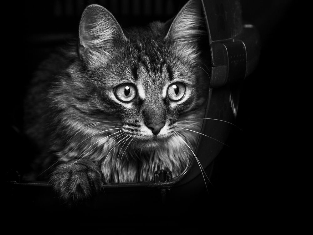 Photograph by Юрий Морозов