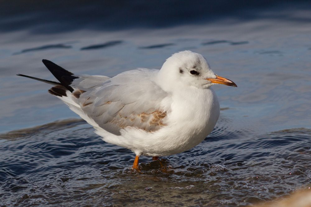 Photograph by Богдан