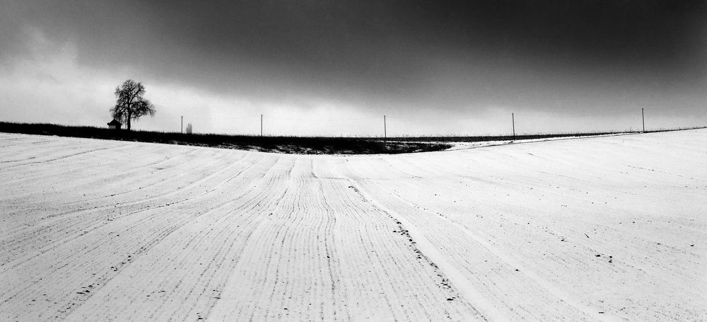 Фотография автора Meer GHERSBERG