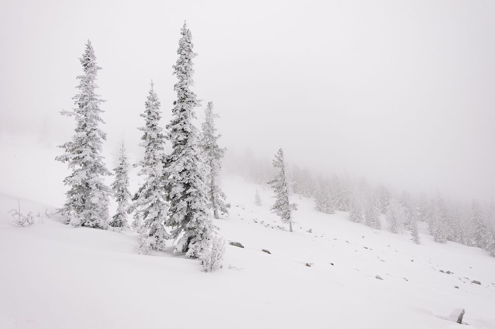 Фотография автора Анна Рыжкова