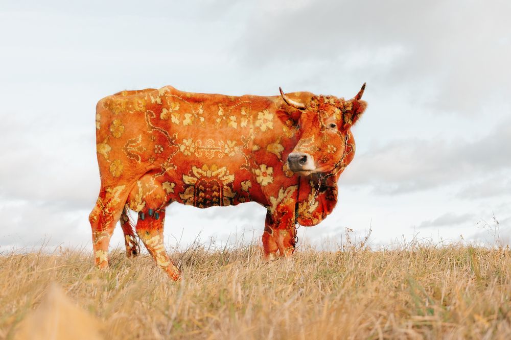 Photograph by Ольга Кушнарева