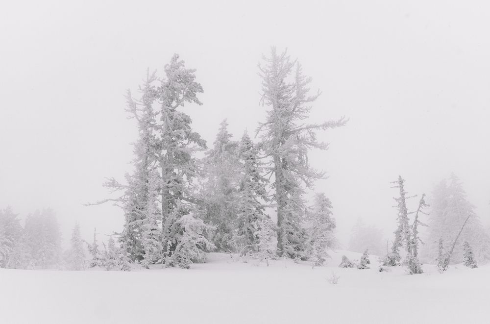 Фотография автора Анна Рыжкова