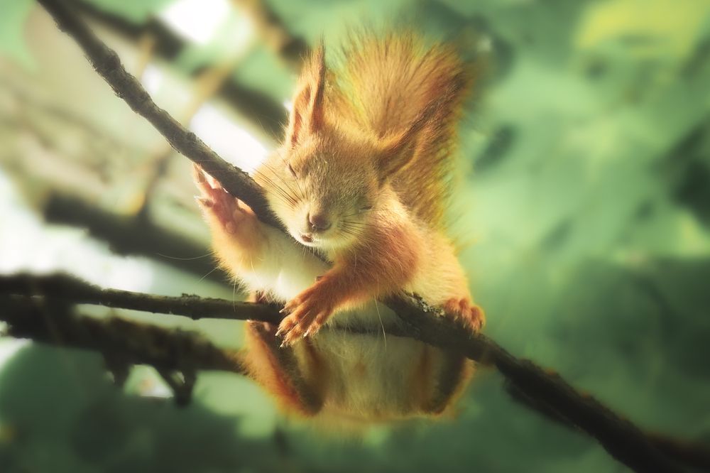 Photograph by Маргарита Смоленская