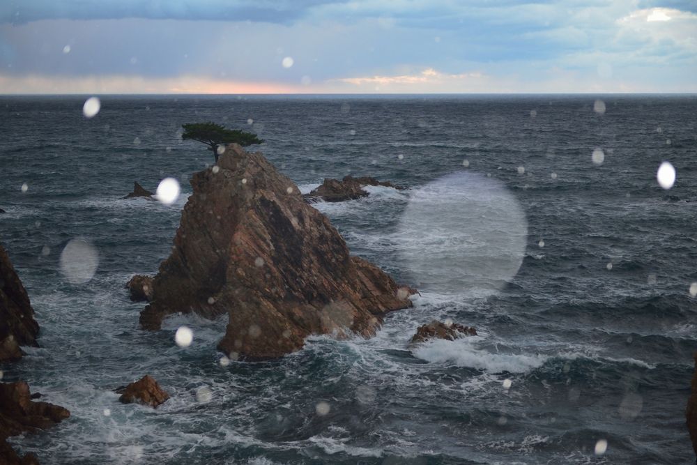 Photograph by Ohta Sigeki