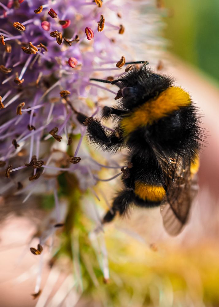 Photograph by Виталий Шмачко