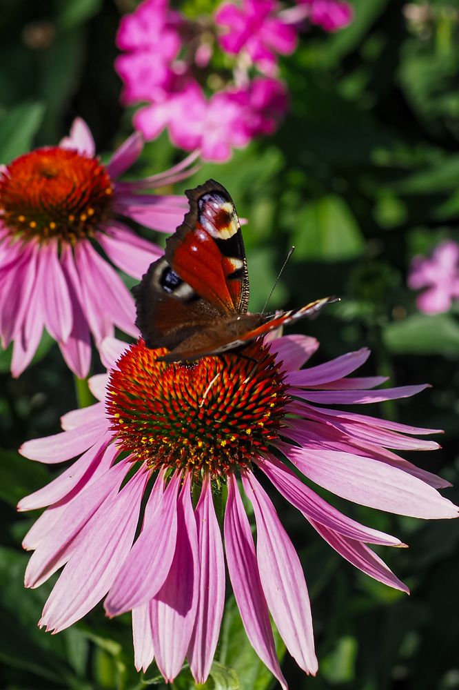 Photograph by Виталий Шмачко