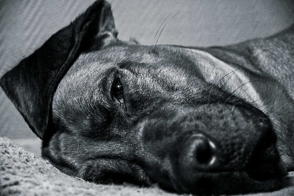 Фотография автора Kris Paske