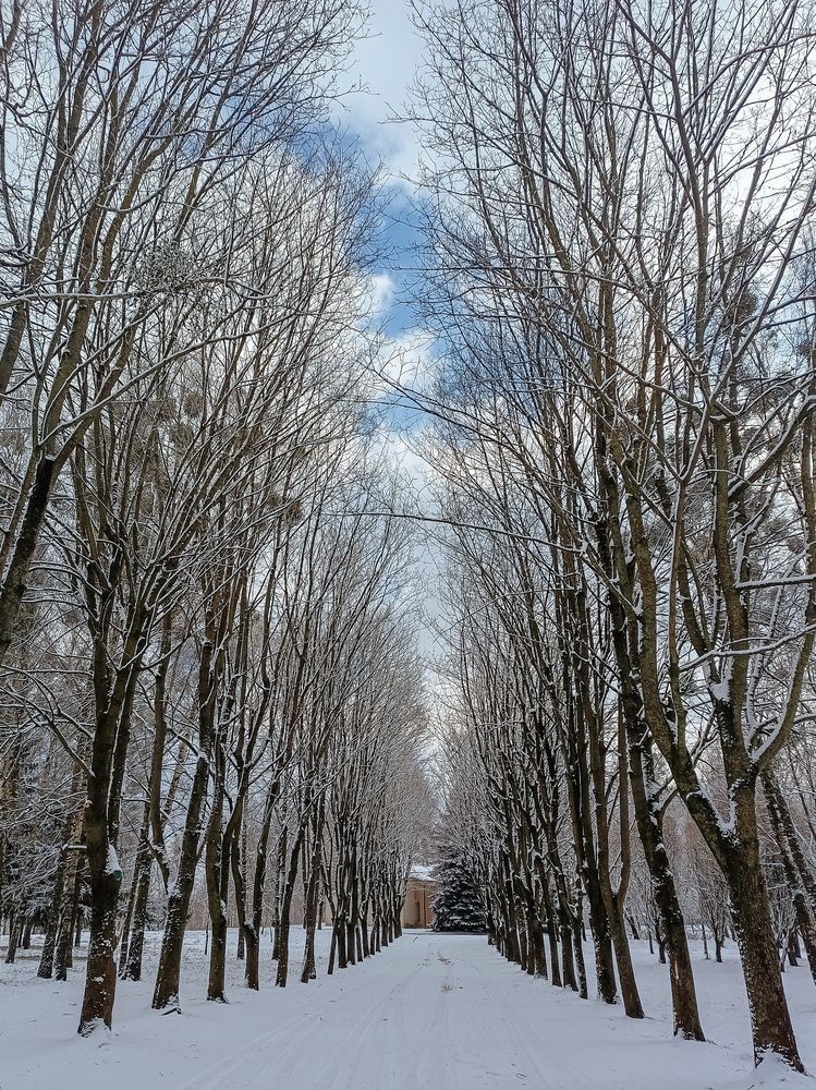 Photo #11954951