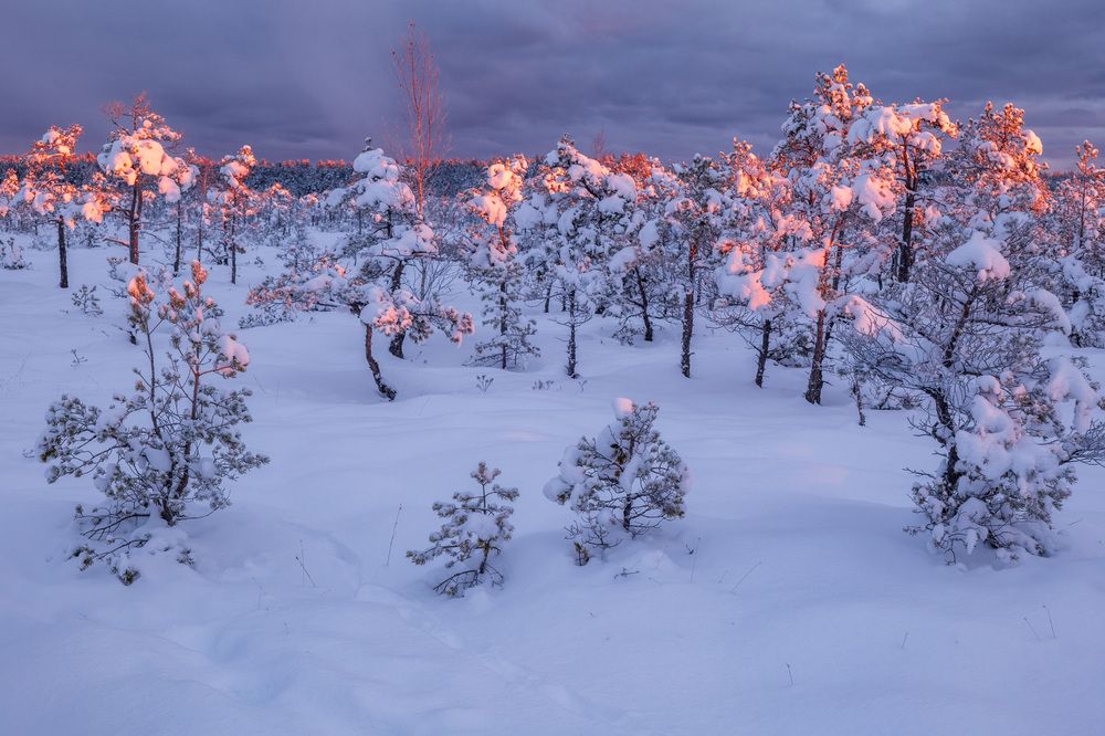 Photograph by Гордон Николай