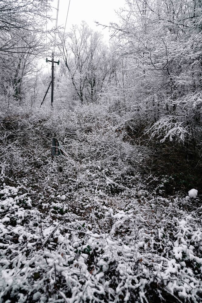 Photograph by Оксана Кричевцова