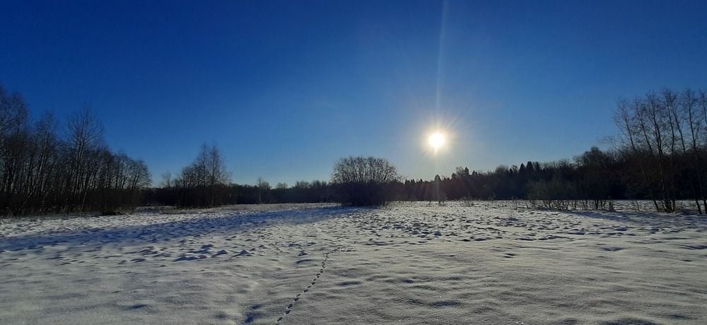 Photograph by Светлана Цапина