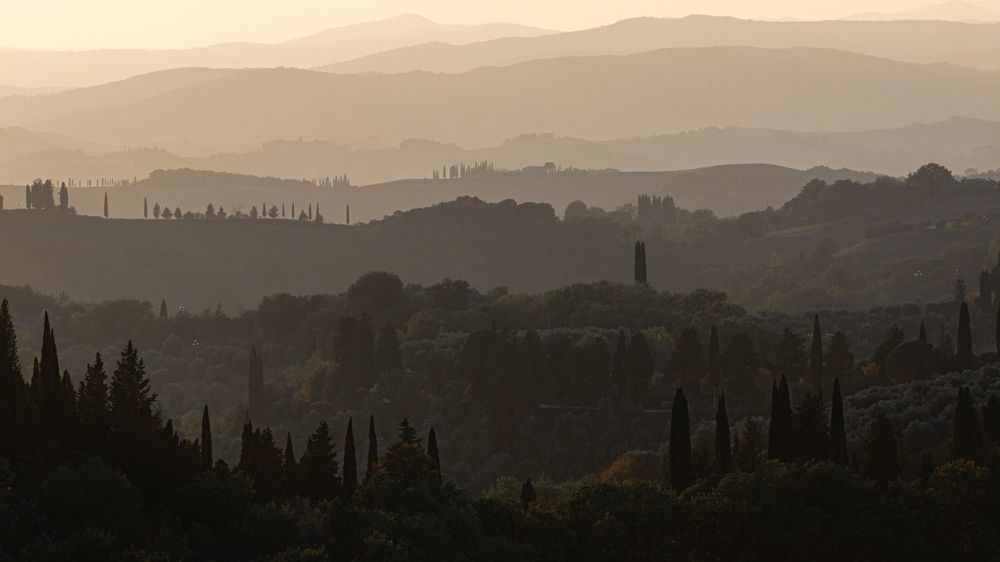 Photograph by Елена Захарова