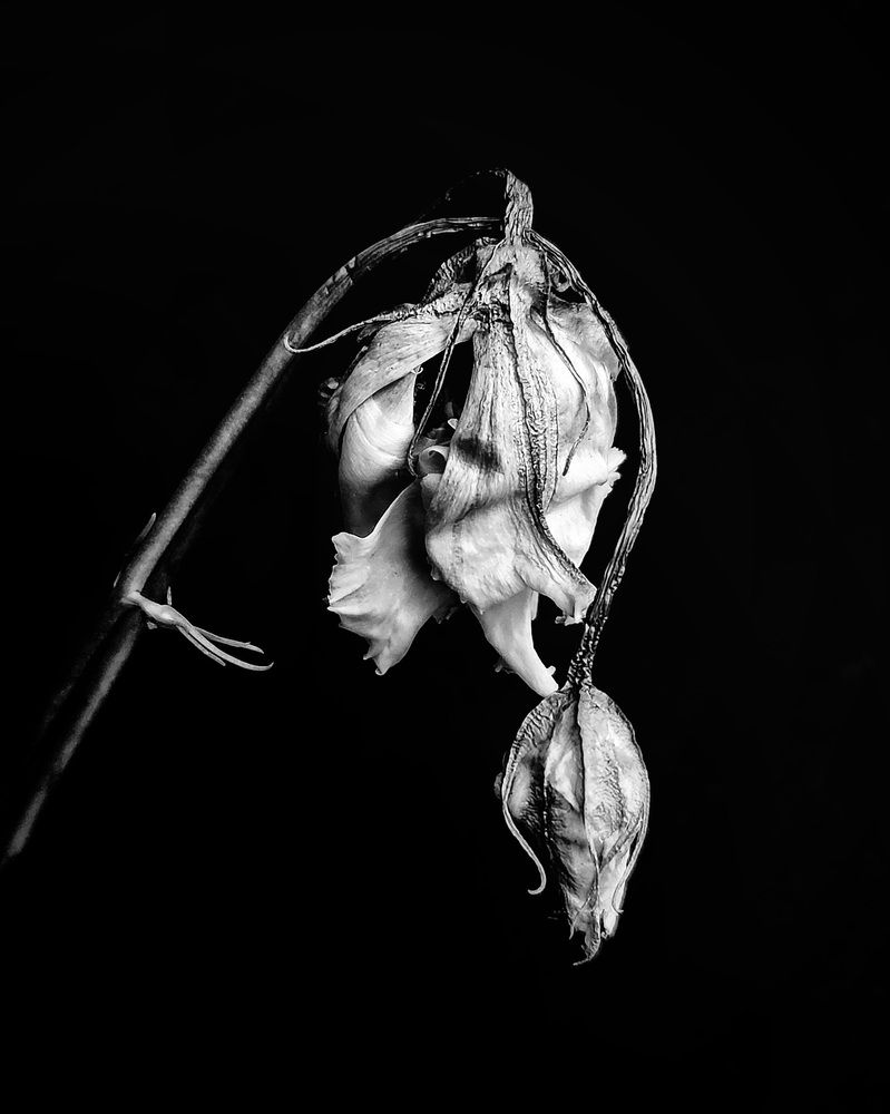 Photograph by Александра Кропивка