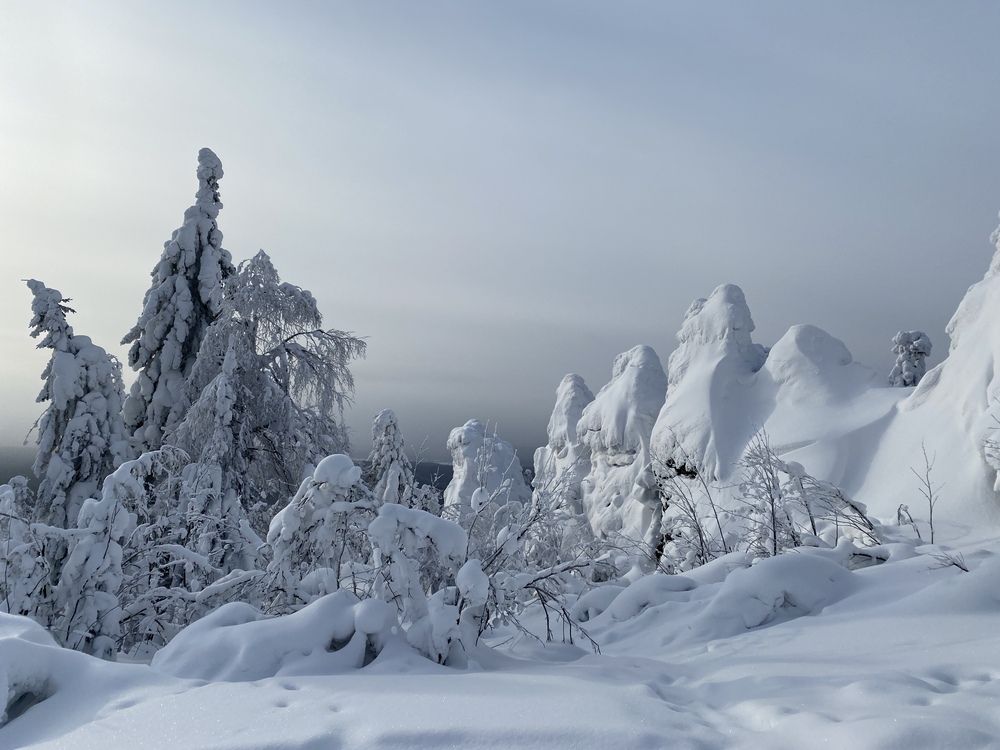 Photograph by Ксения Харлапина