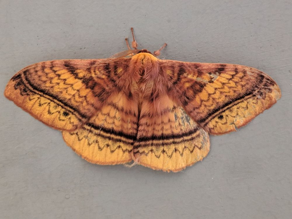 Photograph by sandhya kudli