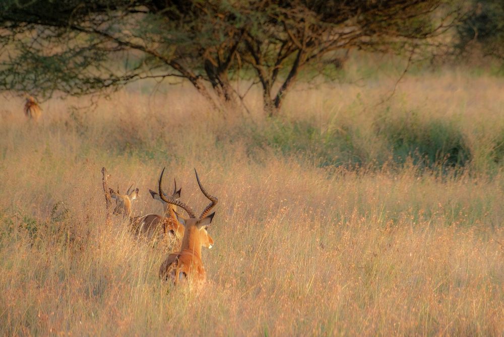 Photograph by Pirjo Kristiina Ståhlberg