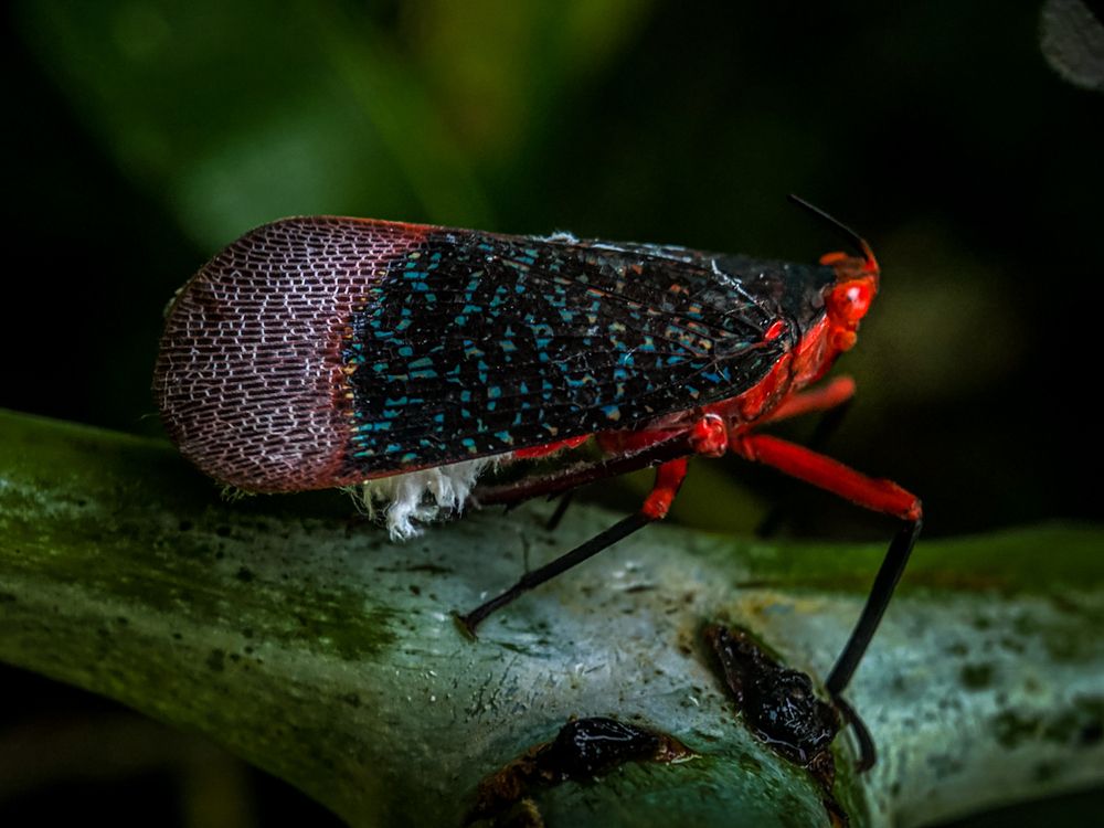 Photograph by sandhya kudli