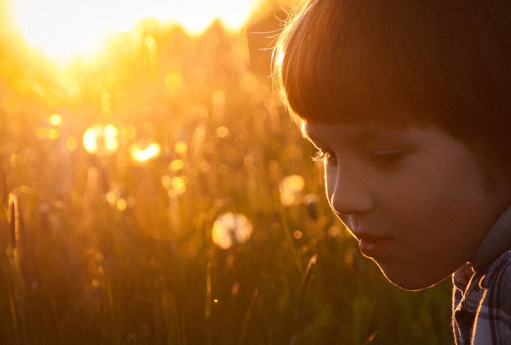 Photograph by Елена Сиднина