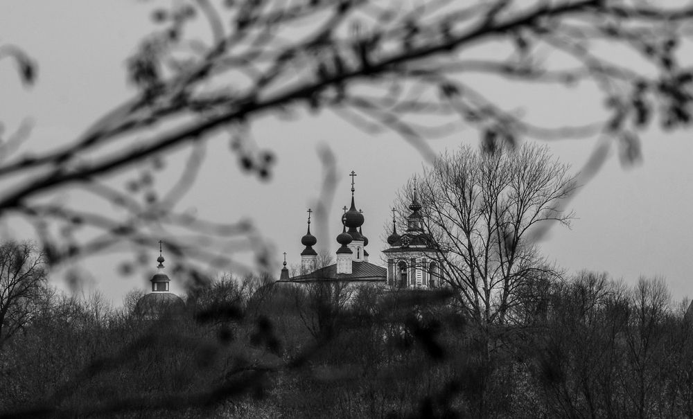 Photograph by Светлана Карнаух