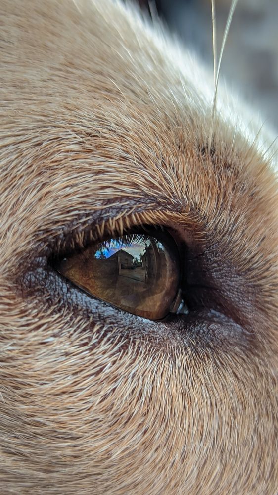 Photograph by Vijayakumar