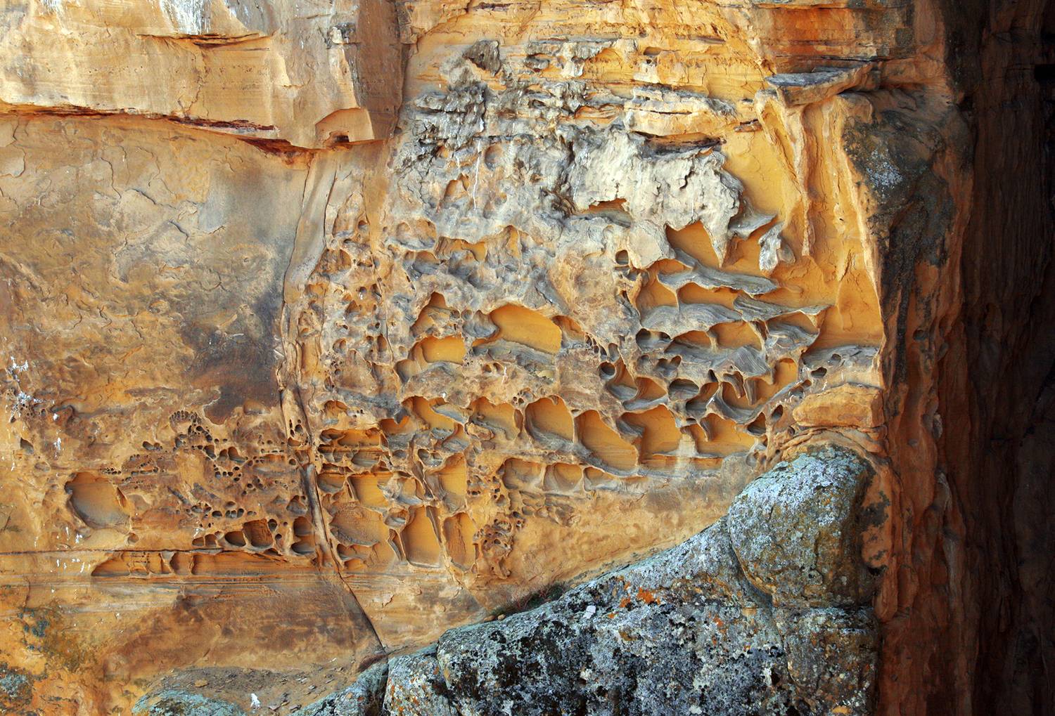 Фотография #11955106