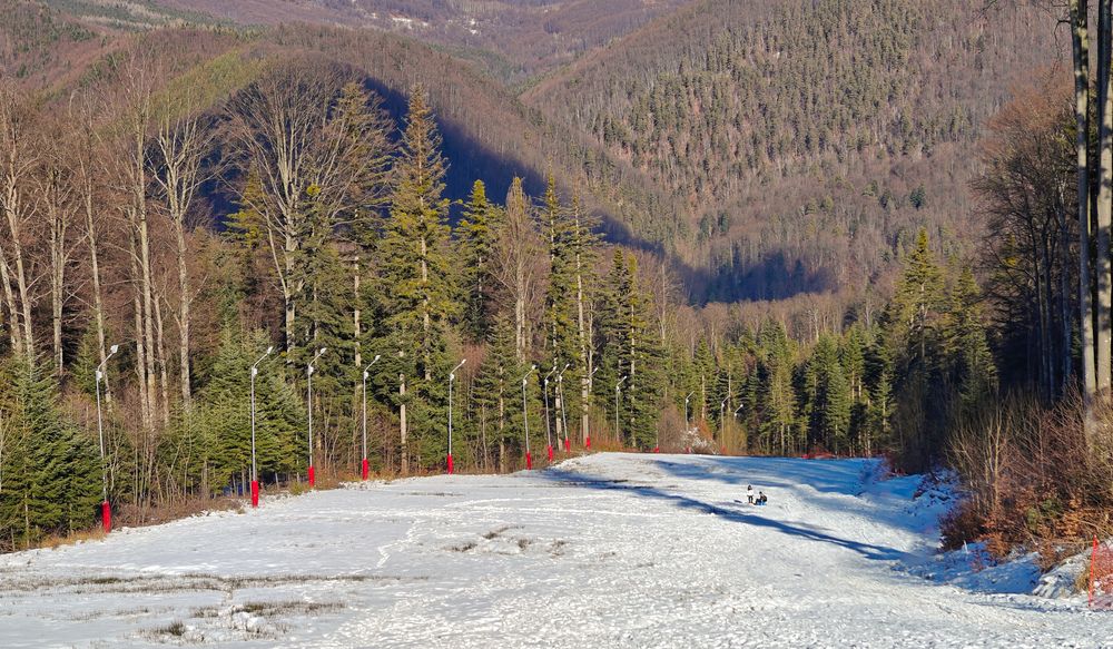 Photograph by Grădinaru Catalin