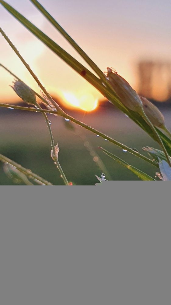 Photograph by Николайчик Елена