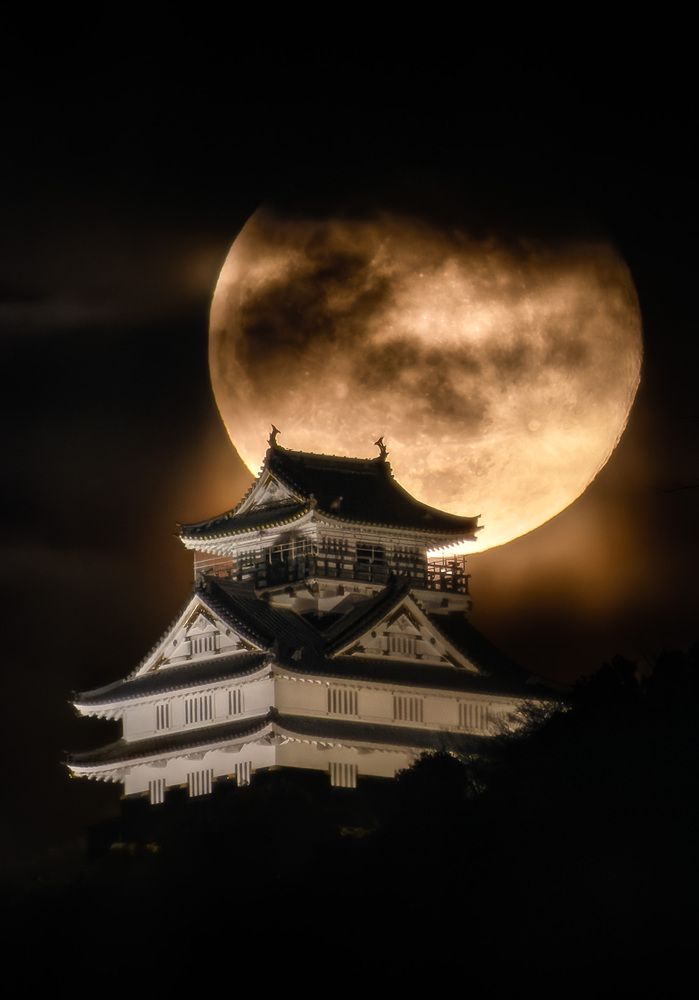 Photograph by Hiroki Matsubara